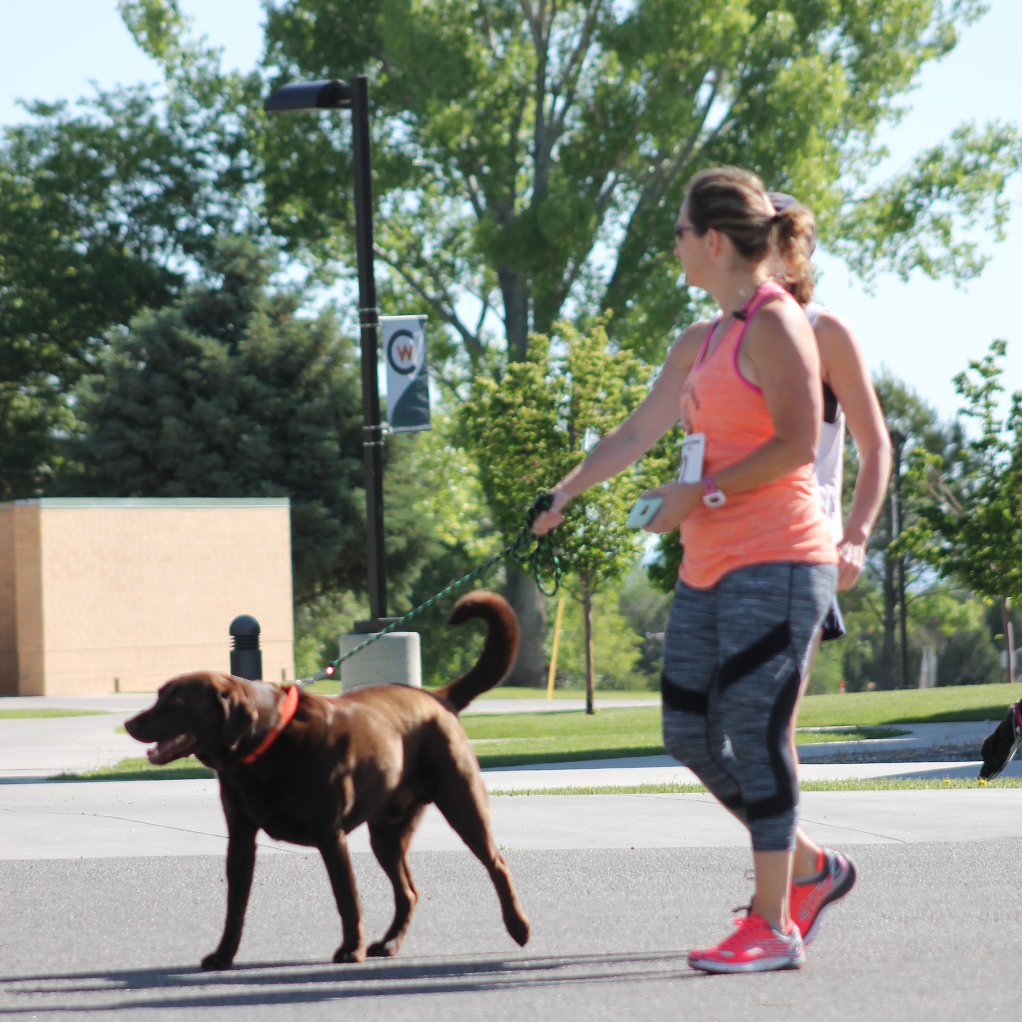 The Stock Doc Riverton