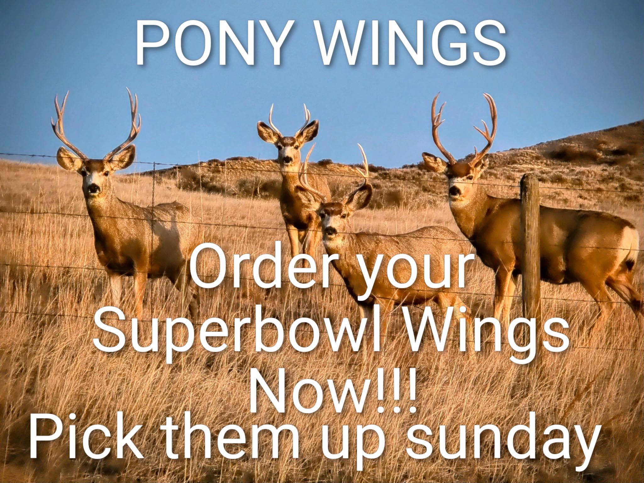 The Pony Grill & Bar Sheridan