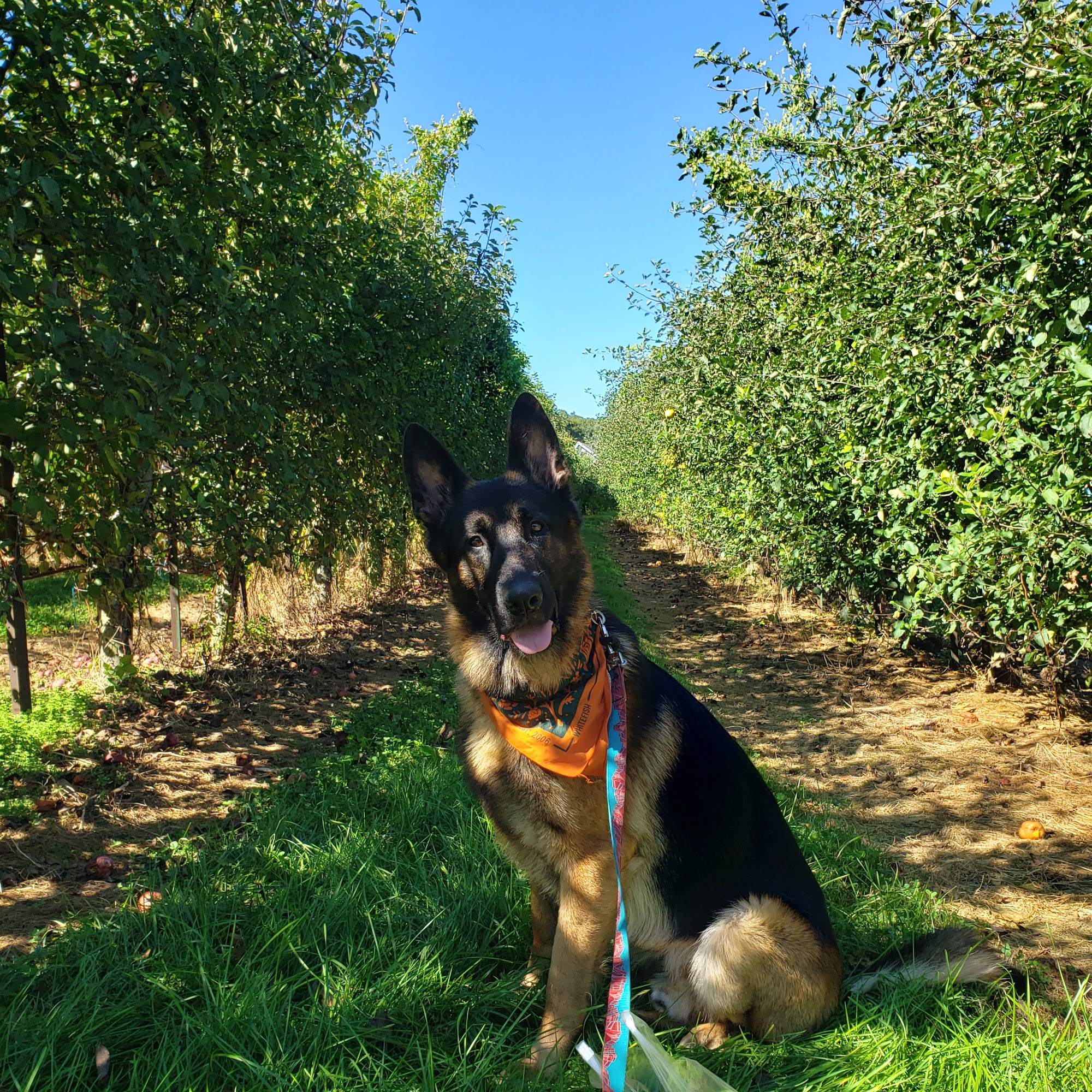 Big Goose Veterinary Clinic & Wellness Center Sheridan