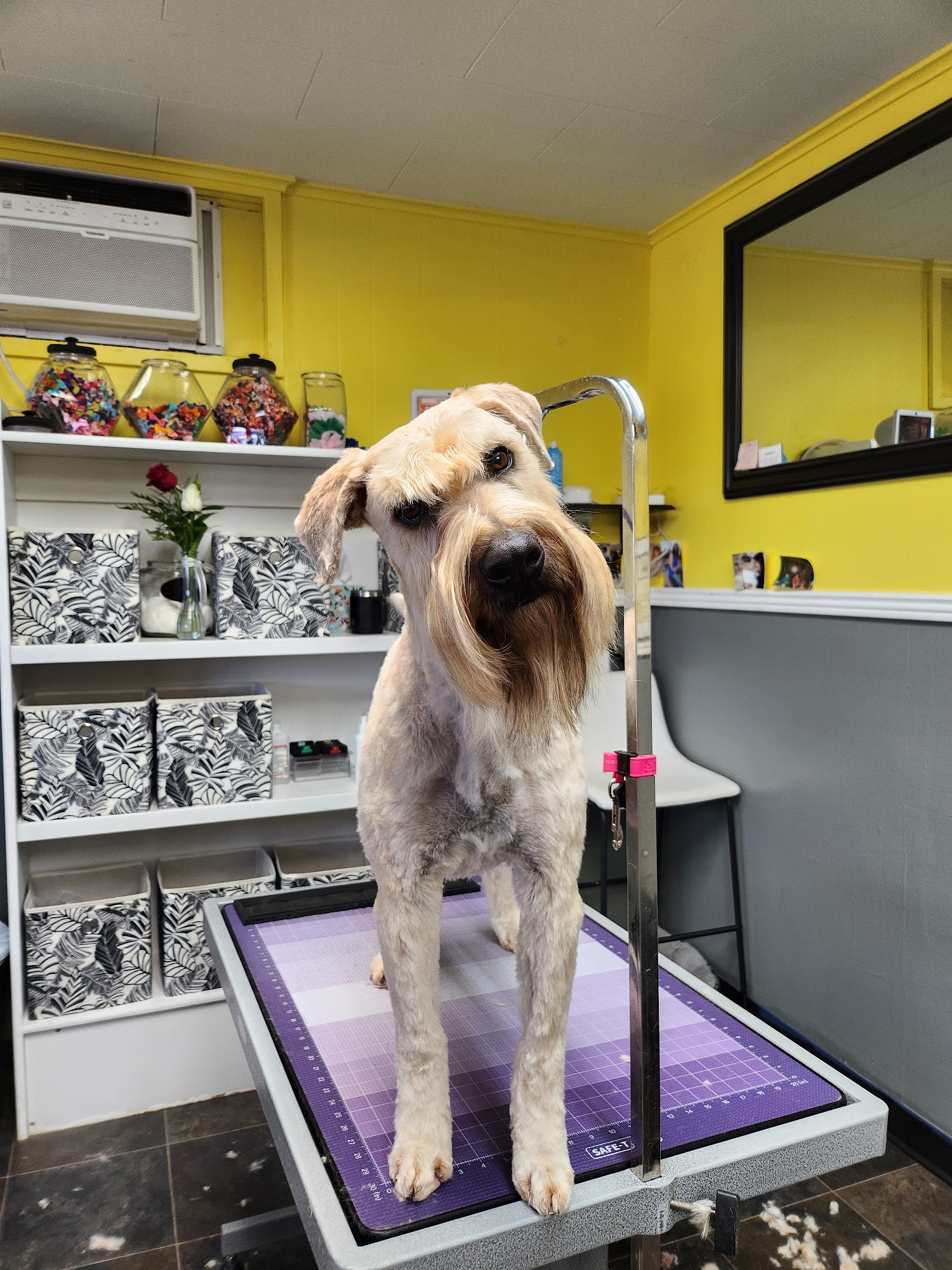 Pride and Groom Sheridan