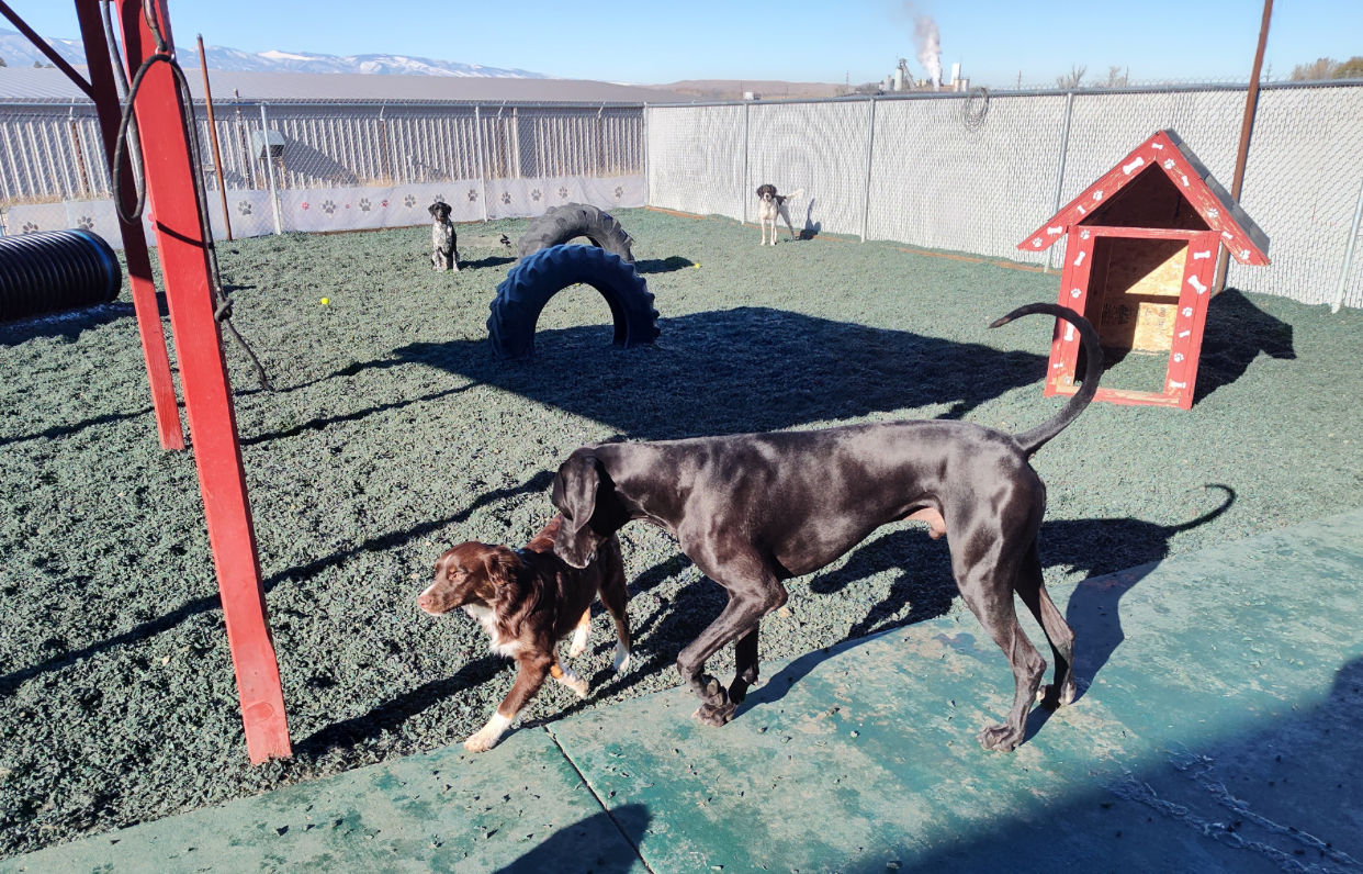 McGraw's Paws Inc. Sheridan