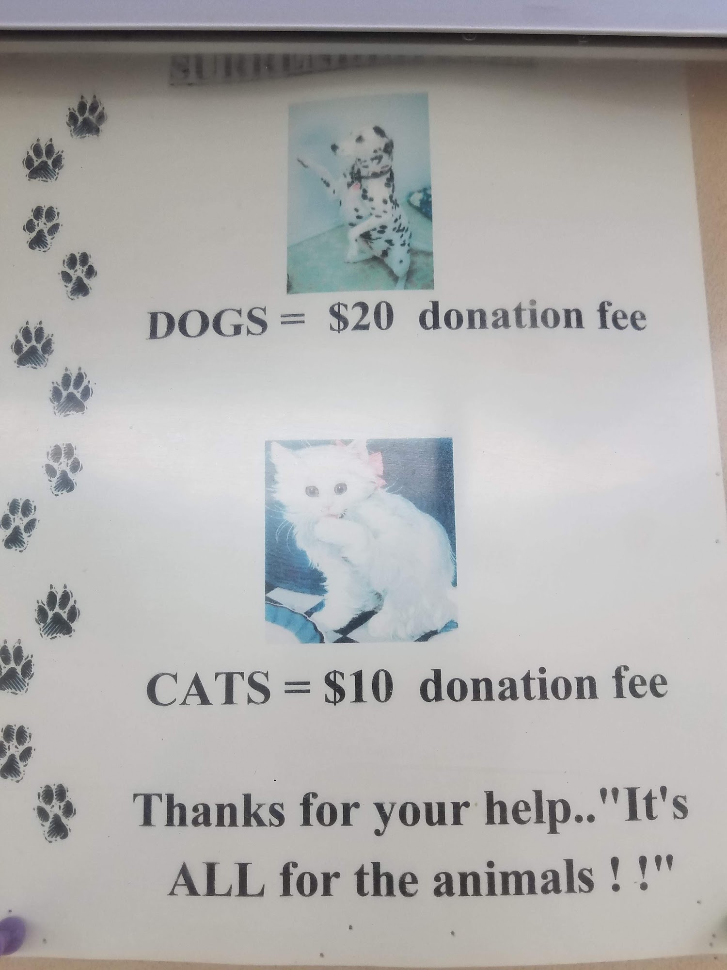 Animal Humane Association of Star Valley Thayne